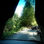 Drive-through tree